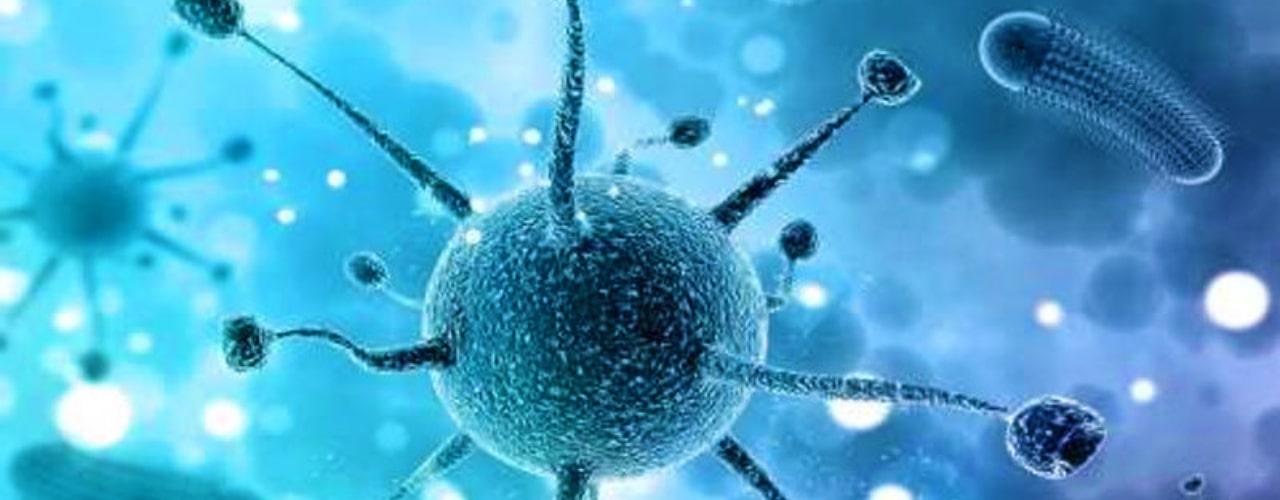 Department of Microbiology's image