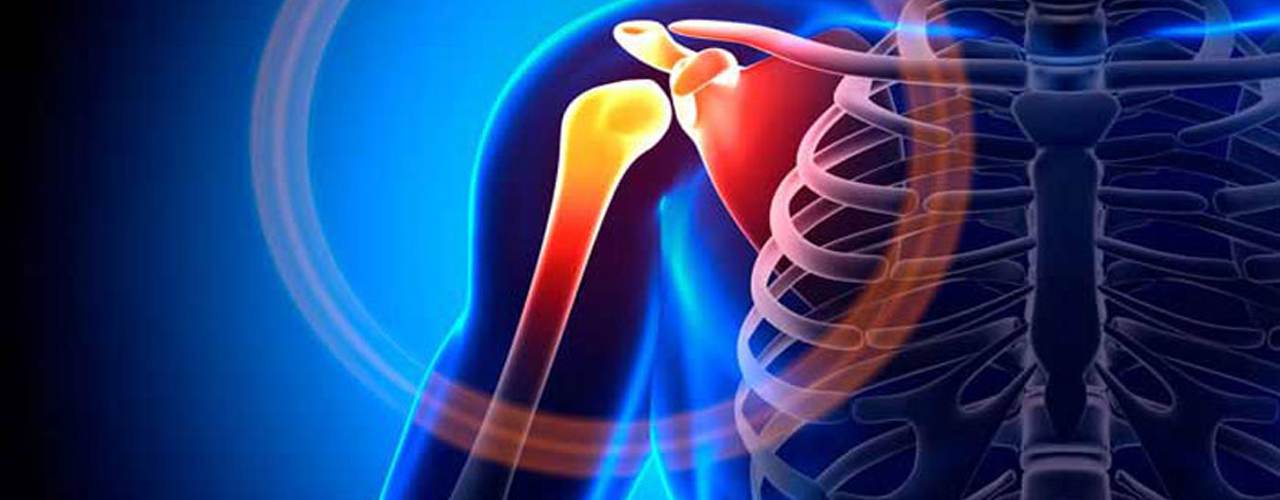 Department of Orthopaedics's Image