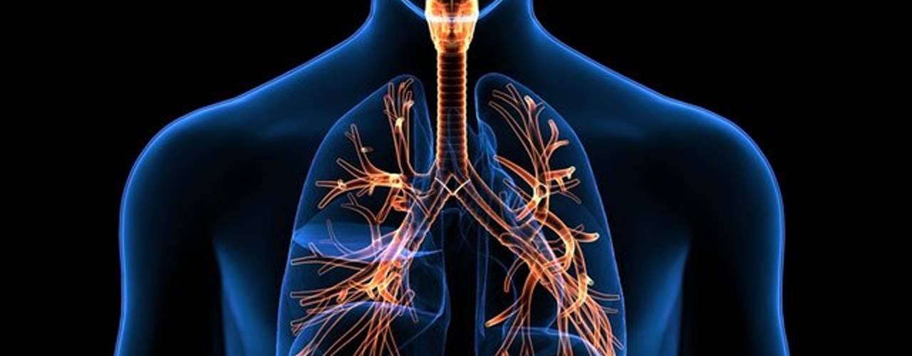 Department of Respiratory Medicine's Image